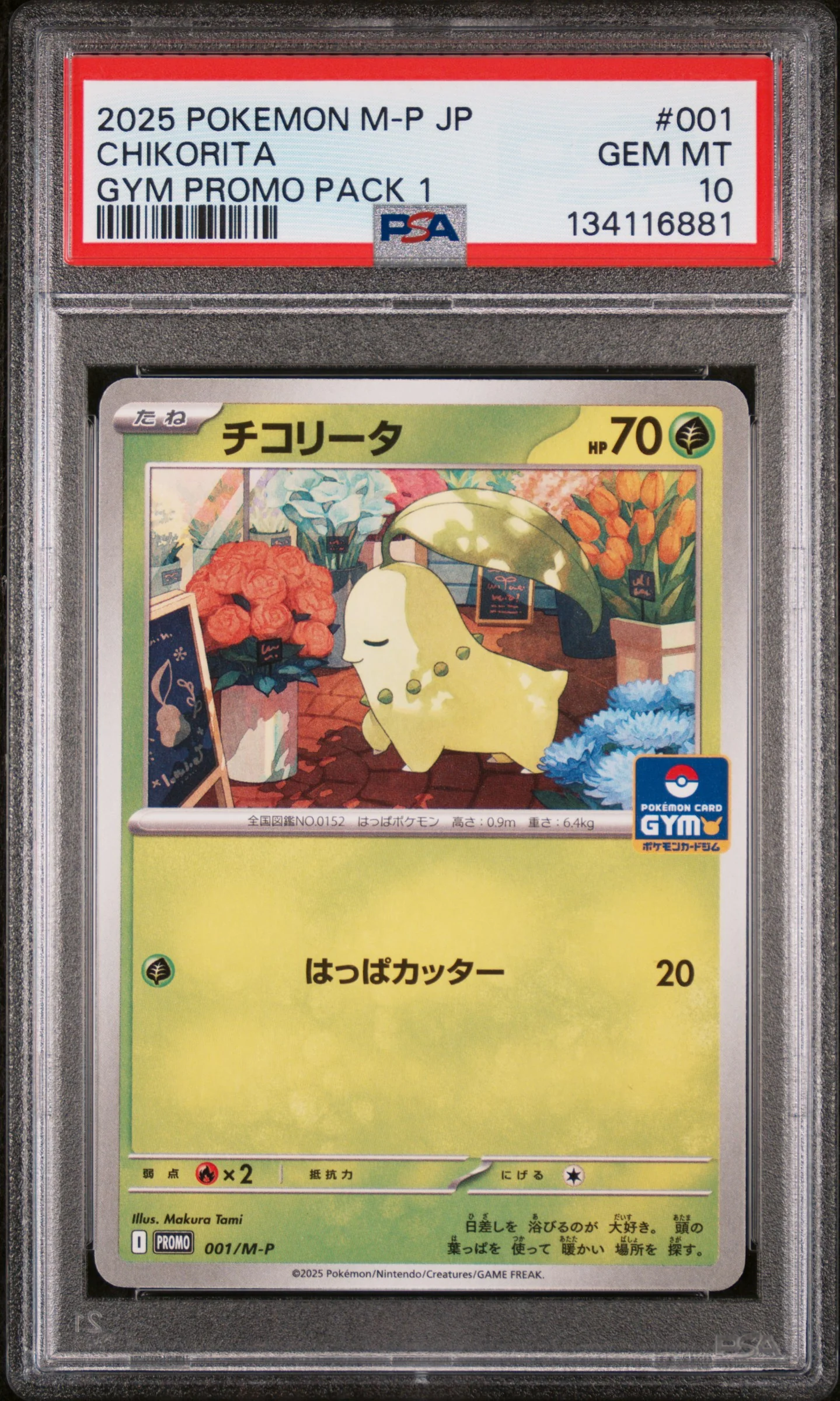2025 Pokemon Japanese M-P Promo Gym Promo Pack 1 Chikorita #001 PSA 10